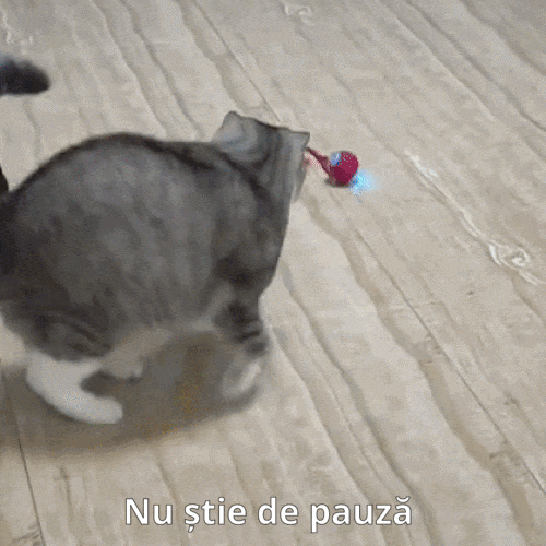 Jucărie Interactivă pentru Câini & Pisici